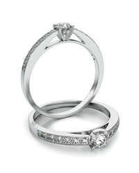 Stelmach Antragsring 4