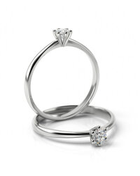 Stelmach Antragsring 1