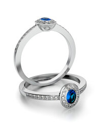 Stelmach Antragsring 12