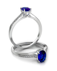 Stelmach Antragsring 18