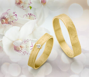 Welche Trauringe sind im Trend?