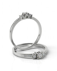 Stelmach Antragsring 7