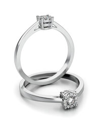 Stelmach Antragsring 14