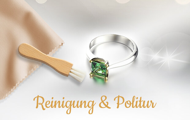 Reinigung & Politur