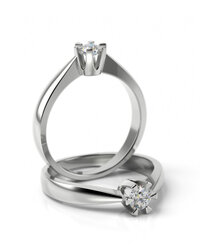 Stelmach Antragsring 8