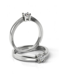 Stelmach Antragsring 11