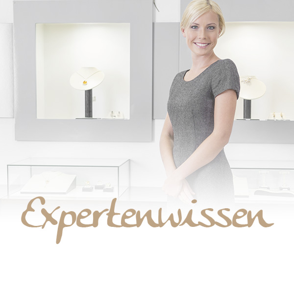 Expertenwissen