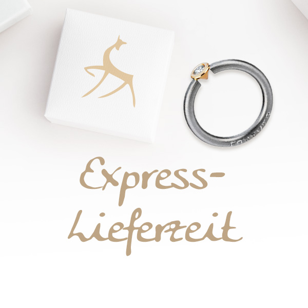 Express-Lieferzeit