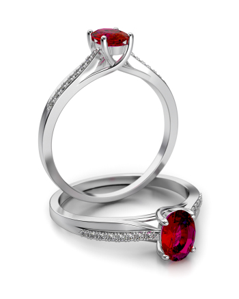 Stelmach Antragsring 16